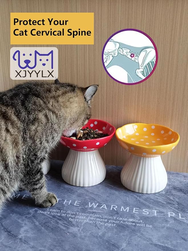 Mushroom Elevated Cat Bowls Ceramic, Raised Cat Bowl for Indoor Cats, Cute Whisker Fatigue Cat Bowl, Raised Dog Bowls Stand for Food and Water, Red 6" Wide for Adult Cats