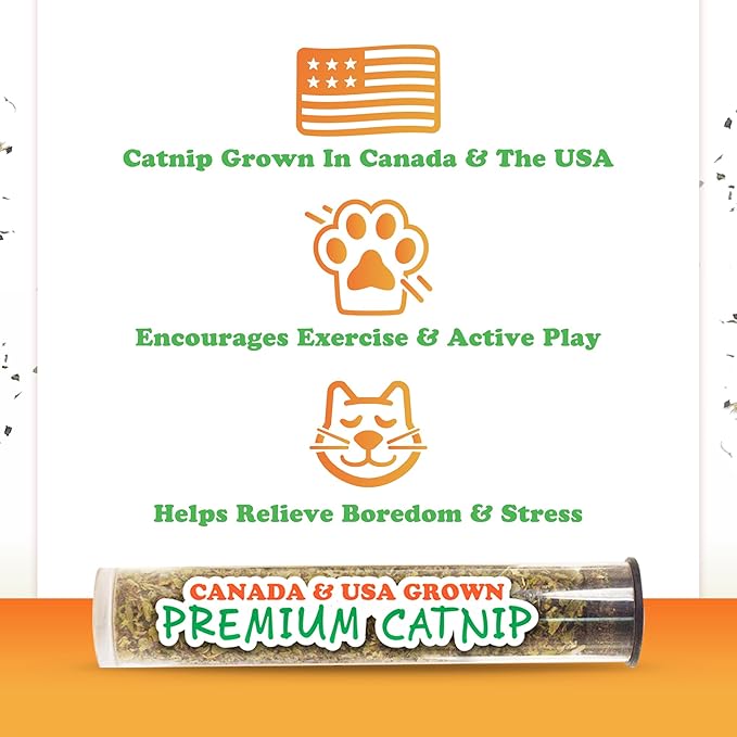 Meowijuana Jump 'n' Jamb Door Hanging Cat Toy | Chameleon | Refillable Interactive Catnip Toy | Promotes Play and Cat Health | Includes Potent Catnip Grown in North America