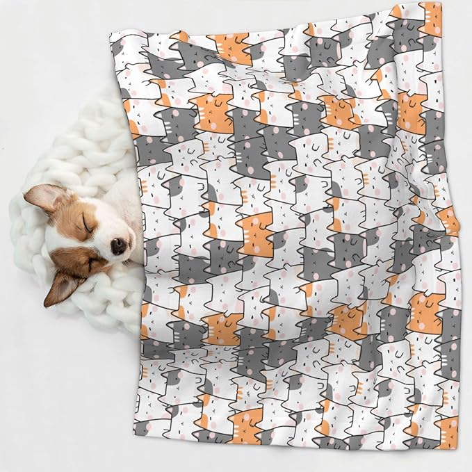 Pet Blanket,Warming Ultra Soft Warming Mat for Indoor Pet Beds & Furniture Reversible Blanket Machine Washable 27.6 * 19.7Inch,Cute Animals Pattern