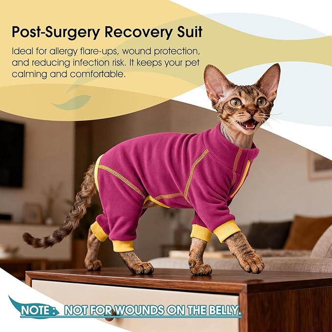 ROZKITCH Kitten Jumper Fleece, Comfortable Kitten Pajamas Sticky Hair Clothes Prevent Lost Hair Onesie Outfits Surgical Suit Cat Turtleneck Sweater Apparel Rosered XS