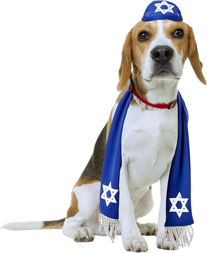 Pets Yarmulke and Tallis Hanukkah Set with Star of David (Medium/Large)