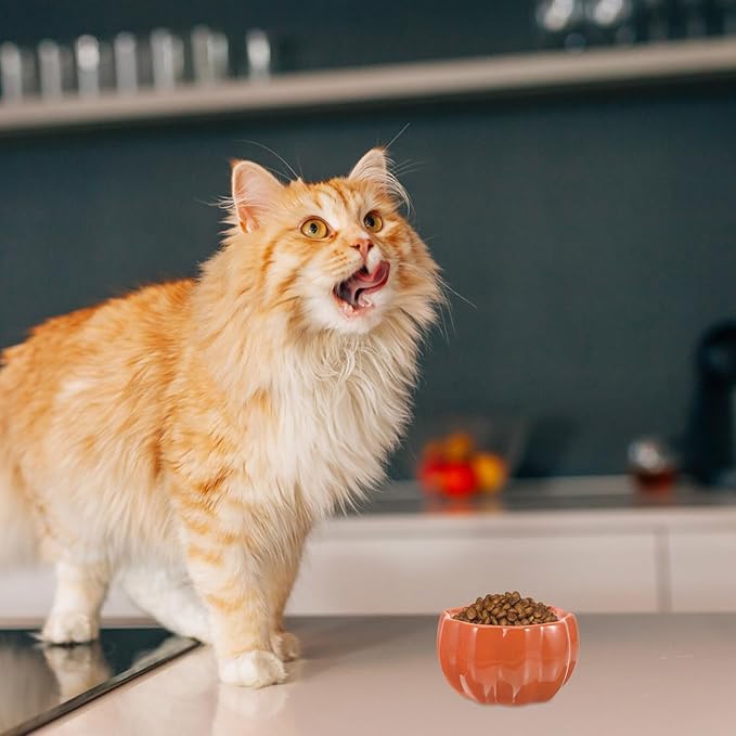 Ceramic Raised Pumpkin Shaped Pet Food Bowl with Elevated Design for Cats and Dogs, Orange Dual Bowls for Feeding and Watering, Neck Protection Pet Feeder Suitable for Travel