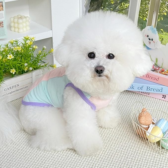 Ice Silk Fluorescent Tank top with Traction Ring, Suitable for Small/Medium Dogs, pet Dog Sun Protection Breathable Outdoor Walking Tank Top