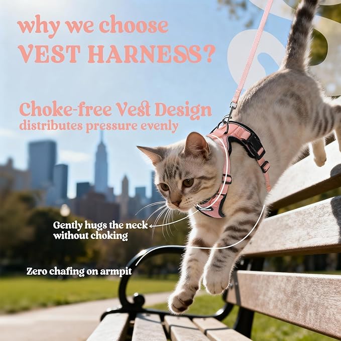 rabbitgoo Cat Harness and Leash for Walking, Escape Proof Soft Adjustable Vest Harnesses for Cats, Easy Control Breathable Reflective Strips Jacket, Light Salmon Pink, XS
