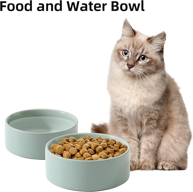 Havniva Cat Bowls Water Bowl Set of Two, 5.1” Ceramic Cat Food and Water Bowl Whisker Friendly Pet Food Bowls for Indoor Cats, Wide Cat Water Dish Prevent Whisker Fatigue Non Slip Cat Feeder