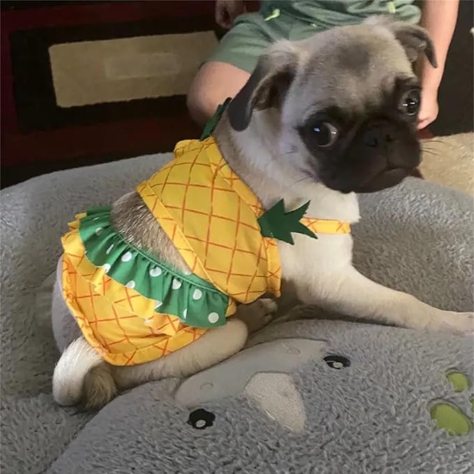 Funny Dog Swimwear Bikini Summer Dog Clothes Beach Swimsuit Puppy Bathing Suit Puppy Vest Cooling Pet Shirt for Small Dogs, Cat Apparel (Large, Yellow Pineapple)