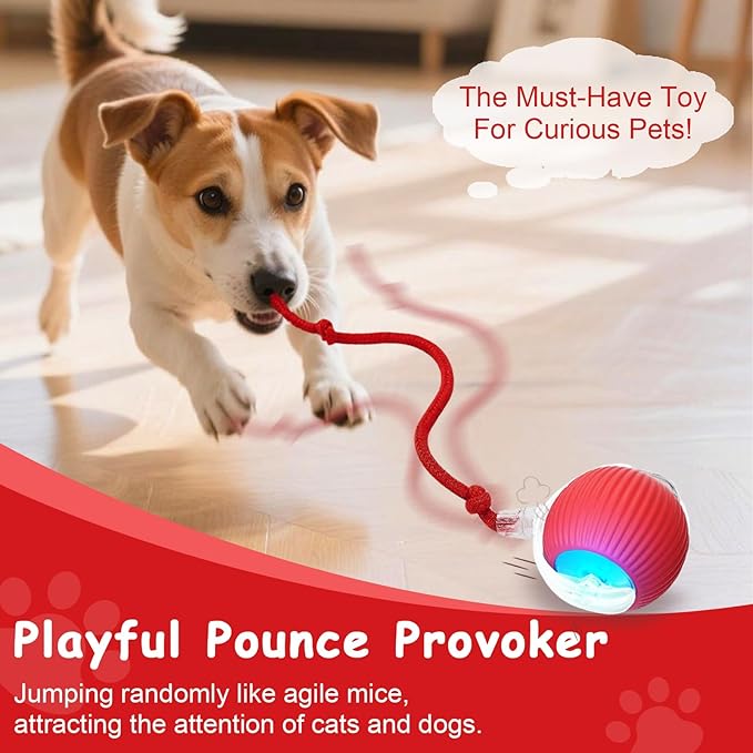 2PCS Interactive Cat Toys Smart Ball for Cats and Dogs, 360° Automatic Rolling Chase, 2 Rapid-Action Tails, Designed for Indoor pet Exercise, Boredom Relief, and Fun Chase Play.（Red＆Blue）