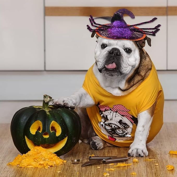 Halloween Adjustable Witch Pet Hat for Cats Dogs Purple Spider Pet Hat for Small and Medium Cats Dogs Halloween Funny Head Accessories