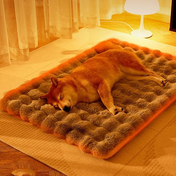 Dog Bed Mat,Furniture Pet Sofa Mat for Dogs Cats, Winter Beds Pet Cat Floor Pad Soft Sleep Pad for Dog Kitten Soft Sleeping Dog (Orange, M)