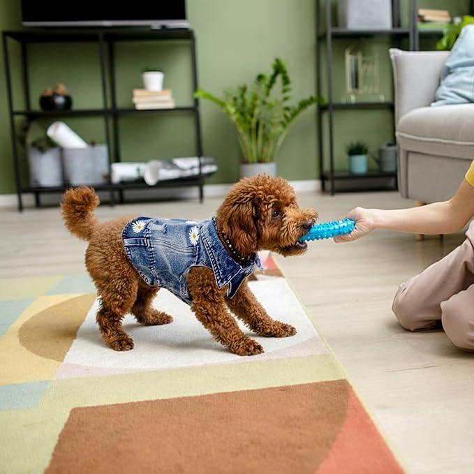 Dog Denim Jacket with Embroidered Daisy, Ripped Vintage Jean Vest for Small Dogs, Puppy, Pugs, Chihuahuas, Spring Summer Fall Festival Outfit, XS (Fits Chest 9-10")