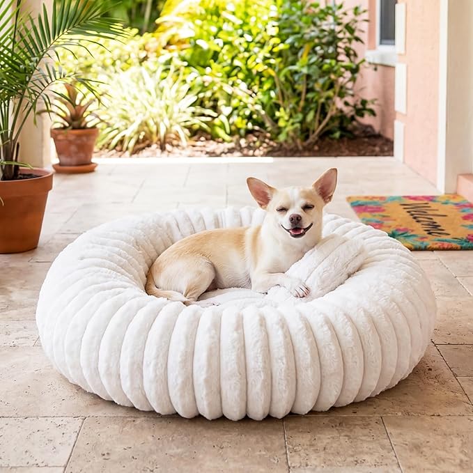 Self Warming Cat Bed, Donut Pet Bed for Indoor Cats and Small Dogs, Self-Heating Dog Bed with Non-Slip Bottom, Winter Comfort Dog Beds for Puppies, Washable & Portable Egg Tart Shape (S)