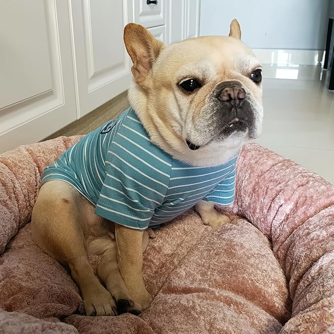 Blue Striped Matching Dog and Owner Clothes, Cotton Pet and Owner Coordinating Outfit with Embroidered Smiley Face Separately Sold,Family Matching Pajamas for Dogs Puppies (Pet 4XL)