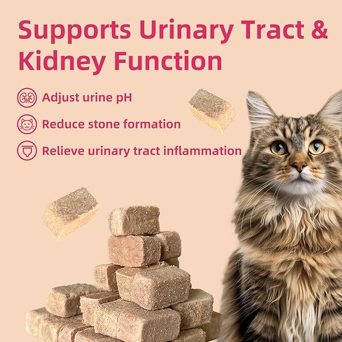 Cat Urinary Care Bricks Cat Treats for Indoor Cats - Soft and Crunchy Cubes, Cranberry for Kidney Bladder and UT Support, Delicious Daily Treats, Easy-to-Chew Cat Snacks (60g)