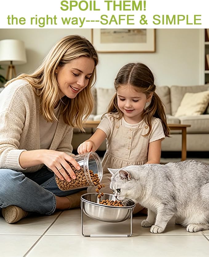 15° Tilted Cat Food Bowls 304 Stainless Steel Kitten Food Bowl Raised Food and Water Dish for Cats Elevated Cat Bowl Plate Stand Whisker Friendly Smooth Polished Easy to Clean Dishwasher Safe 1PACK