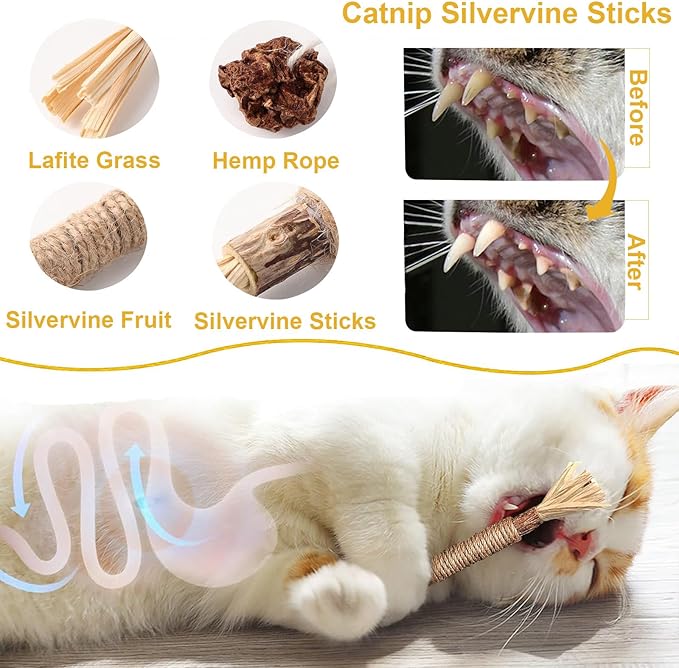 6 in 1 Cat Toys Set with Sisal Rope, Interactive Feather Ball for Indoor Cats, Catnip Carrot & Fish with 2 Balls, Natural Kitten Teething Chew Toy for Self Play, Exercise