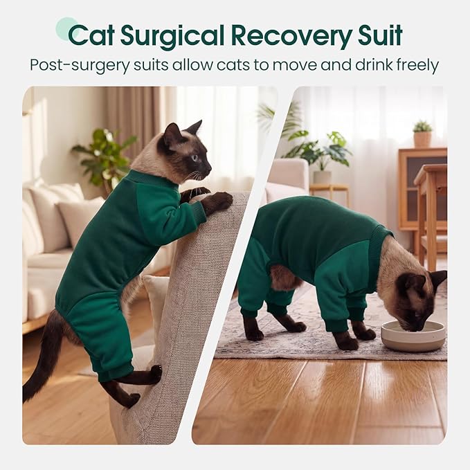 DENTRUN Cat Recovery Suit with Legs - Shedding Control & Anti-Licking Onesie, Stretchy Surgical Recovery Suit Cute Cat Clothes Indoor Soft Material for Comfort and Warmth for Pets