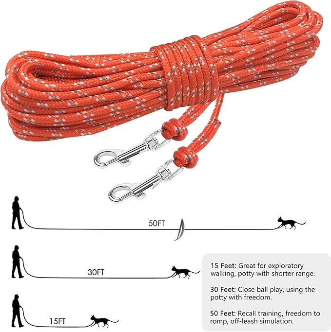 Rypet Reflective Cat Long Leash - 30 FT Escape Proof Walking Leads Yard Long Leash Durable Safe Personalized Extender Leashes Traning Play Outdoor for Kitten, Puppy, Rabbit and Small Animals