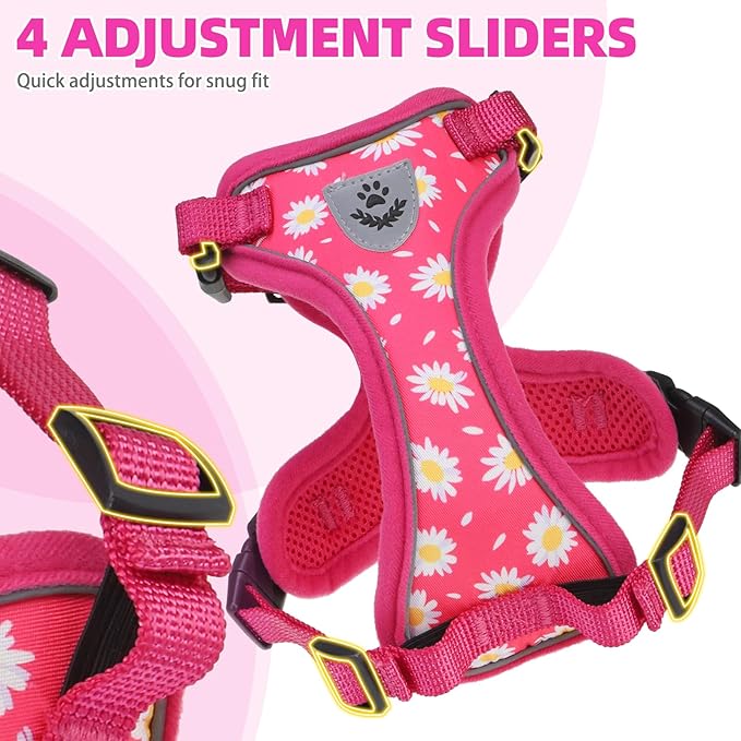 PUPTECK Cat Harness and Leash Set Escape Proof Reflective Cat Walking Harness Adjustable Soft Breathable Mesh Vest for Small Pets, Fuchsia Dasiy, M
