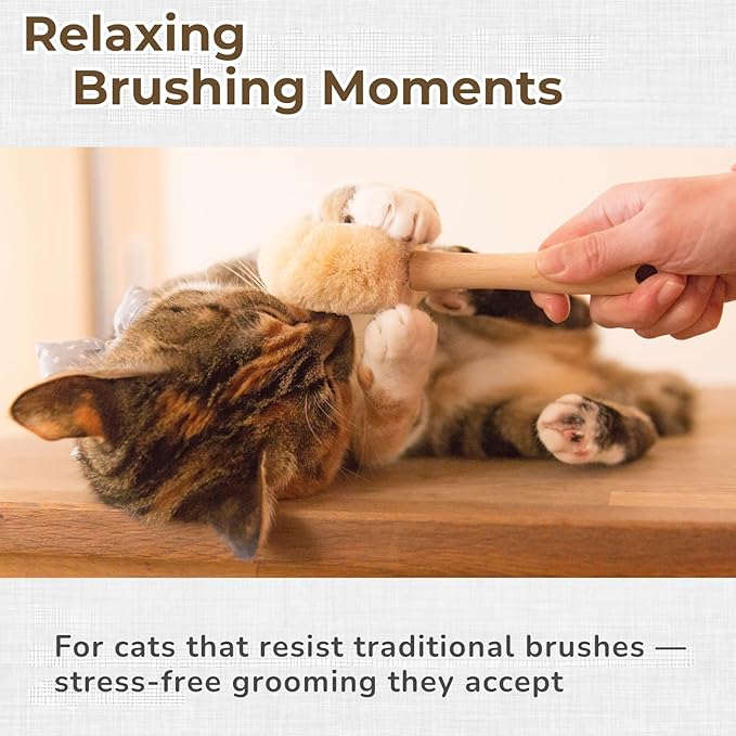 Wablade Cat Brush, Gentle Grooming Brush for Sensitive Cats & Kittens – Soft Grooming & Massage, Gently Removes Loose Surface Fur (Not a Deshedding Tool), Sisal, Made in Japan (Type-B)