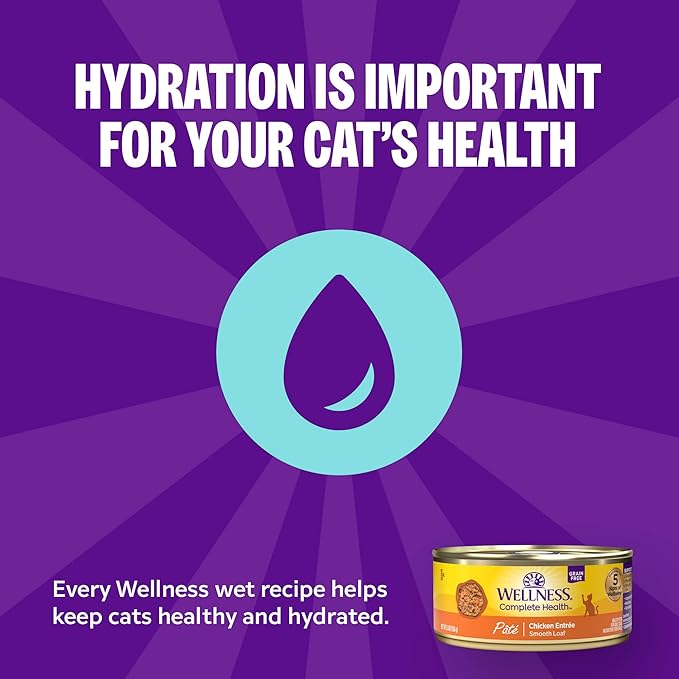 Wellness Complete Health Pate Adult Canned Wet Cat Food, Natural, Protein Rich, Grain Free, Beef and Salmon Entrée Recipe, 12.5 oz, Pack of 12 Cans