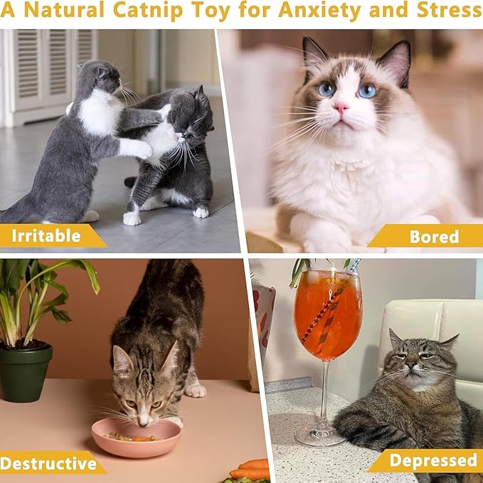 6 in 1 Cat Toys Set with Sisal Rope, Interactive Feather Ball for Indoor Cats, Catnip Carrot & Fish with 2 Balls, Natural Kitten Teething Chew Toy for Self Play, Exercise