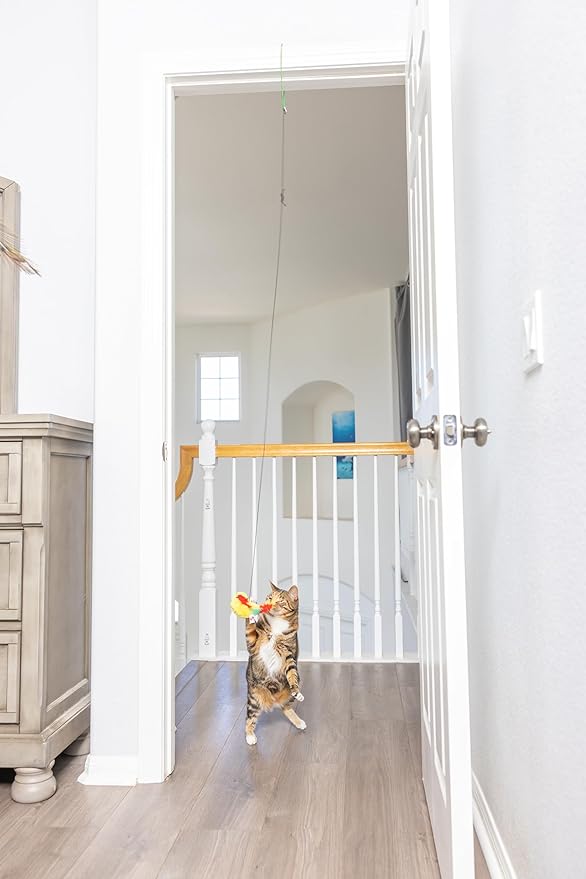 SPOT A-Door-Able Plush Bird Cat Toy | Rattle and Catnip Cat Toy Provides Hours of Entertainment for Your Cat | Hangs on Any Size Door Frame