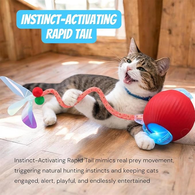New Upgraded Red Cat Ball Toy, Speedy Tail 2.0 Cat Toy, Interactive Cat Toy Ball, Stimulating Toys and Juguetes para Gatos, Cat Toys for Indoor Cats, Interactive Dog Toys with Two Tails, (RED)