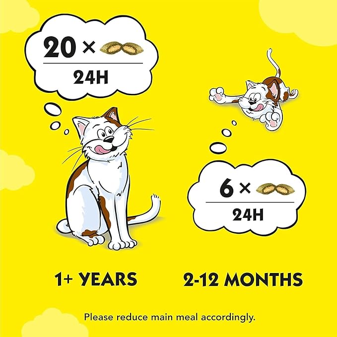 Dreamies Catnip 8 Pouches, Cat Treats Tasty Snacks with Delicious Catnip, Pack of 8 (8 x 60 g)