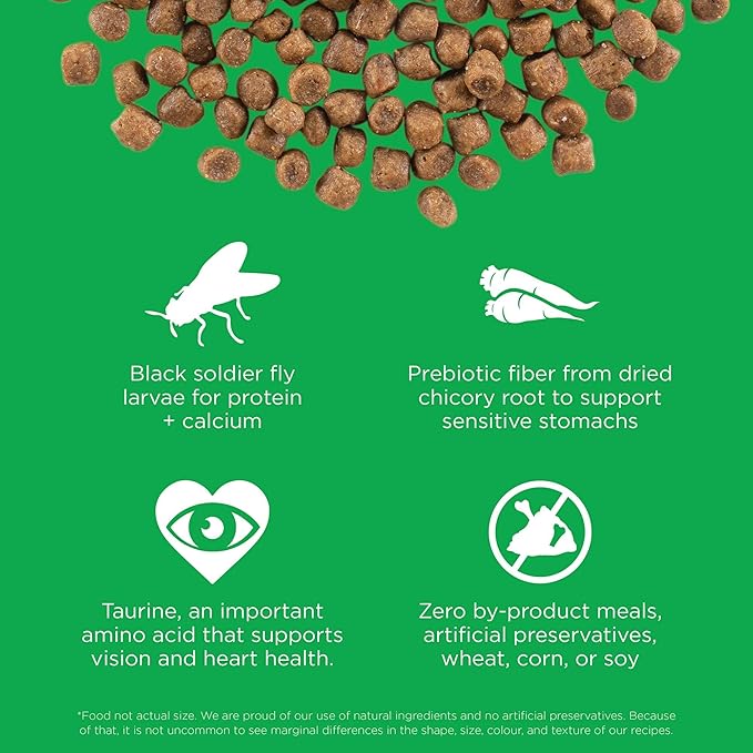 Go! Solutions Sensitivities Limited Ingredient Insect Grain-Free Dry Cat Food, Chicken-Free Kibble Made by Experts for Sensitive Stomachs & Food Allergies, for Adults, & Seniors, 12 lb Bag