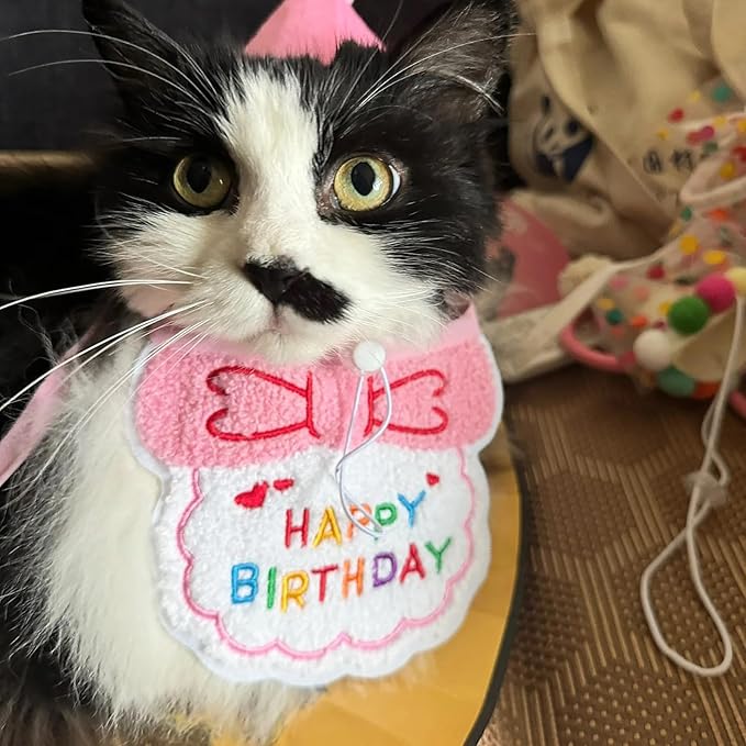Lasflores Pink Girl Cat Birthday Supplies Set - Kitten Hat, Number Decor & Happy Birthday Banner Outfits