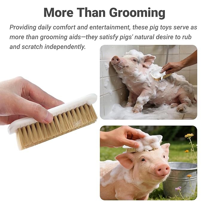 2 Pcs Pet Enrichment Toy, Pet Grooming Brush & Scratch Toy 2-in-1 for Mini Pig,Cats, Dogs - Includes Mounting Screws for Easy Install