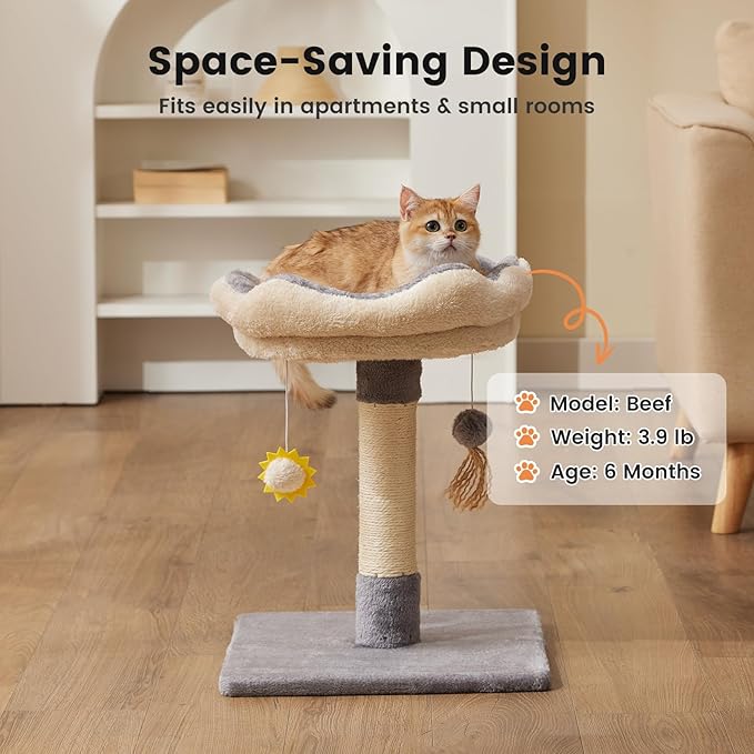 Gardner Pet 20" Cat Tree, Solid Wood Small Cat Tree, Compact Cat Tower Perch for Kittens (Grey, Circle)