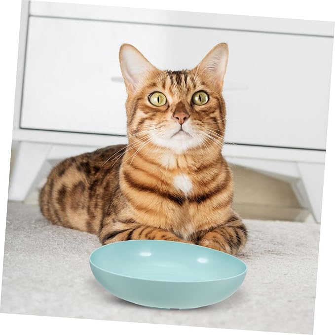 Ipetboom 9pcs Cat Bowls Practical Plastic Feeding Dishes for Cats Kittens Non- Base Easy to Comfortable Mealtime for Indoor Use Mixed Colors