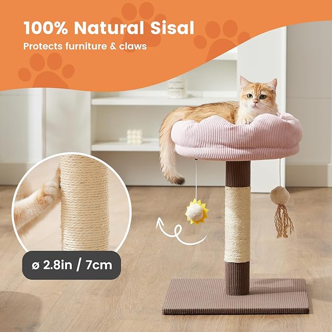 Gardner Pet 20" Cat Tree Corduroy, Solid Wood Small Cat Tree, Compact Cat Tower Perch for Kittens & Indoor Cats(Brown, Circle-Corduroy)