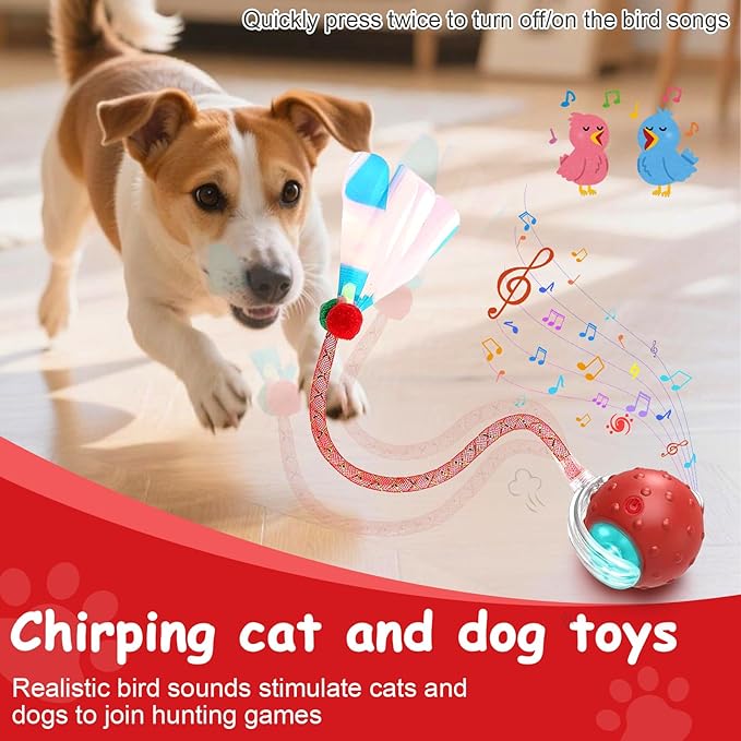 Interactive Cat Toys Smart Ball for Cats & Dogs! Now with 2 Rapid Tails. Features: 360°Auto-Rolling, Motion Activation& Bird Sounds. Perfect for Indoor Pet Exercise & Fun. (Red＆Blue)
