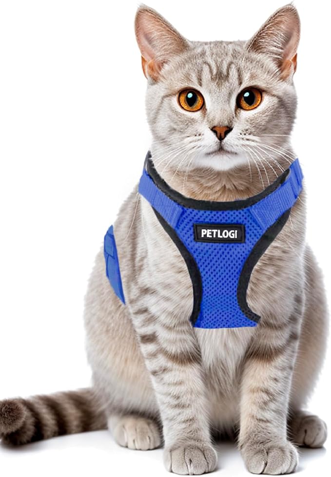 Cat Harness Escape Proof with Leash for Walking, Travel Vest Soft Chest Support, Adjustable Size, Escape Proof Soft Adjustable Vest Harnesses, Breathable, Kittens, Small Dogs (美/背縄/藍1/S)