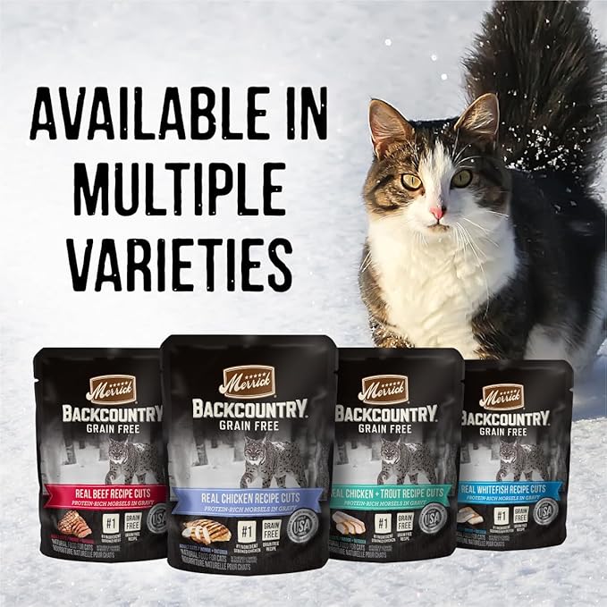 Merrick Backcountry Grain Free Premium And High Protein Wet Cat Food, Beef Recipe Cuts Morsels In Gravy - (Pack of 24) 3 oz. Pouches