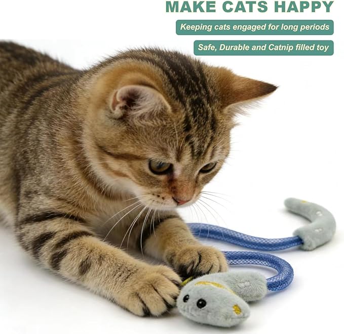 Interactive Cat Toys Set, Silvervine Chew Sticks and Catnip Spring Ropes, Indoor Cat Toys for Exercise and Dental Care, for All Cat Breeds (5 Packs)