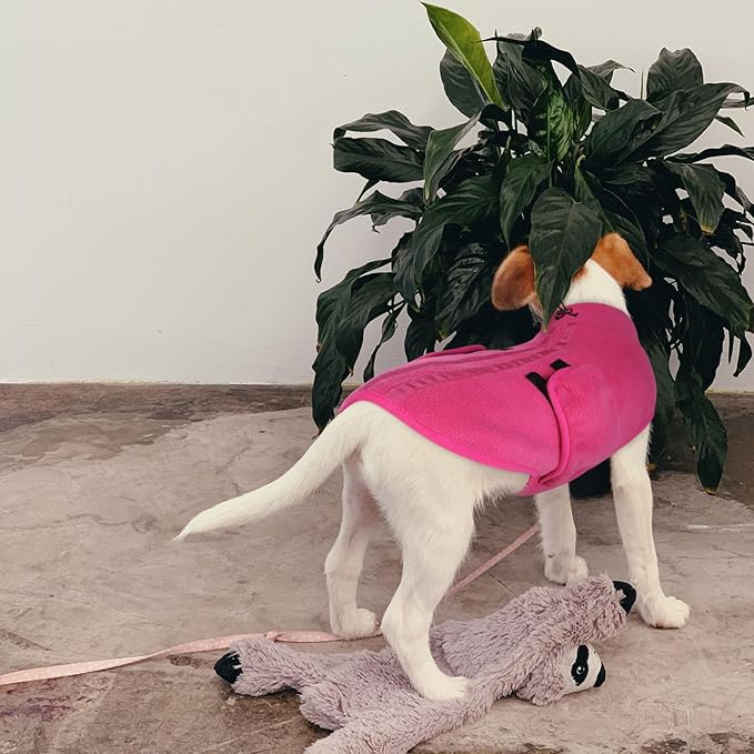 Queenmore Soft Fleece Dog Jacket, Warm Winter Dog Clothes with Leash Hole, Dachshund Sweaters for Small Dogs Cats Boy or Girl (Pink, S)