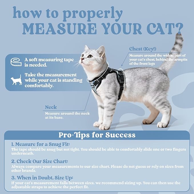rabbitgoo Cat Harness and Leash for Walking, Escape Proof Soft Adjustable Vest Harnesses for Cats, Easy Control Breathable Reflective Strips Jacket, Doodle Gray,XS