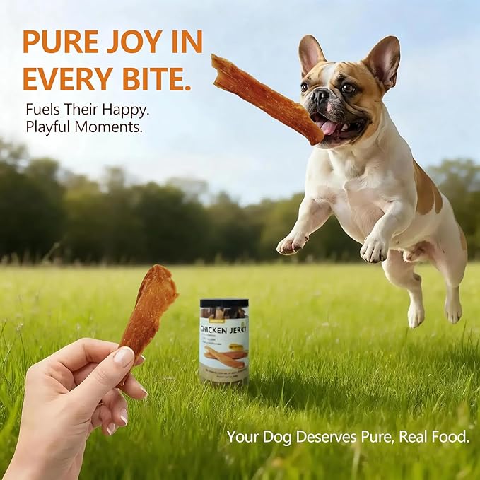 Chicken Jerky Dog Treats, Single Ingredient Real Chicken Breast, 9 oz High Protein Grain Free Training Treats & Dog Chews for Small & Medium Dogs