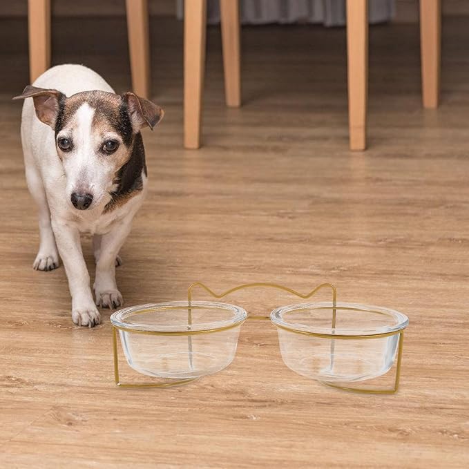 LALAFINA Raised Double Cat and Dog Glass Feeding Bowls Tilted High Stand Non-Slip Raised Pet Food Bowl for Cats and Small Dogs for Feeding and Watering