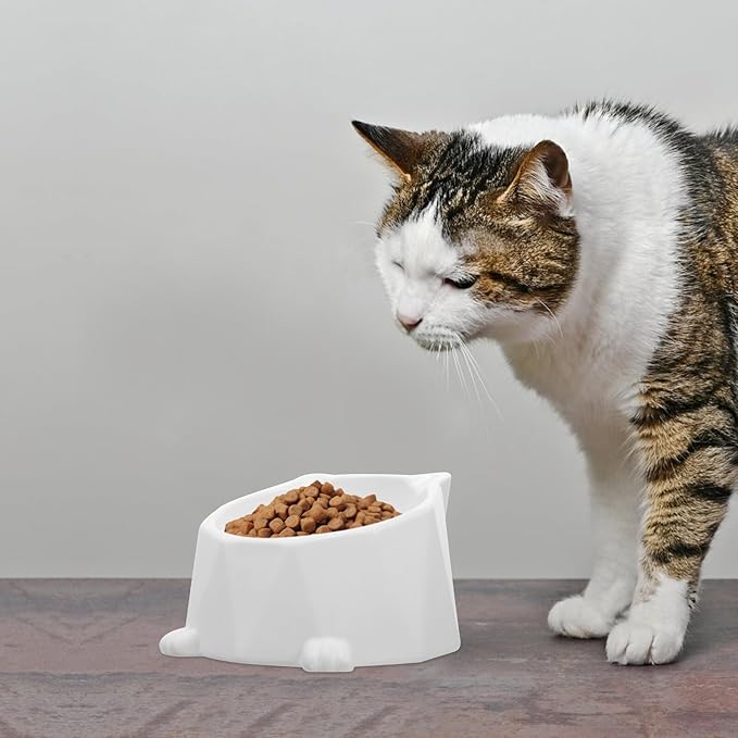 OUNONA Raised Ceramic Cat Bowl for Feeding and Drinking, White Single Elevated Pet Food and Water Dish for Cats and Dogs, Anti-Spill Design Protects Neck and Spine, Suitable for Indoor
