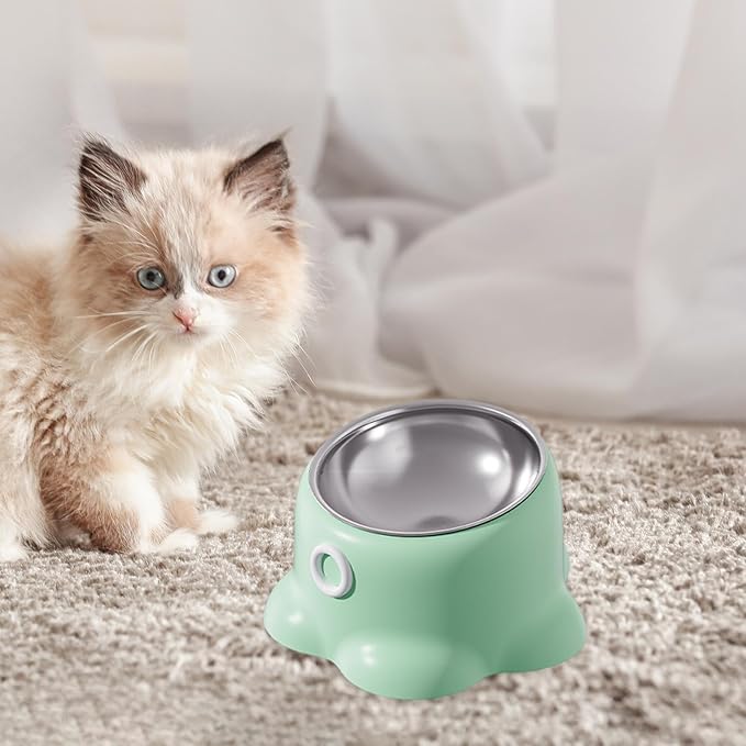 Tilted Cat Feeder Bowl Food Dispenser Living Room Home Travel Indoor Watering Feeding Dish Cat Food Bowl for Pets Small Dogs, Green