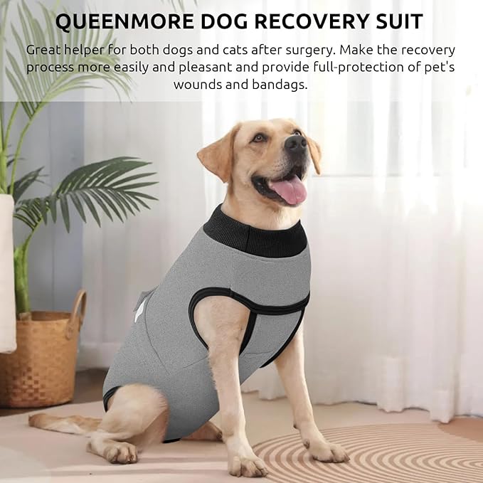 Queenmore Recovery Suit for Dogs Cats After Surgery,Dog Surgical Recovery Suit Onesie,Anti Licking Pet Female Post-Operative Spayed Neutered Puppy Surgical Clothes for Abdominal Wounds, Grey