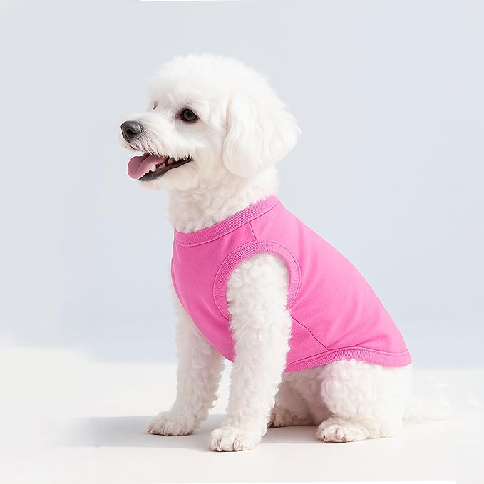 2 Pieces Dog Clothes for Small Dogs Girl Boy Spring Summer Puppy Soft Dog Shirt Solid Color Chihuahua Clothes Pet Clothing Cute Cat Clothing XXS~M (Rose,Purple, Small)