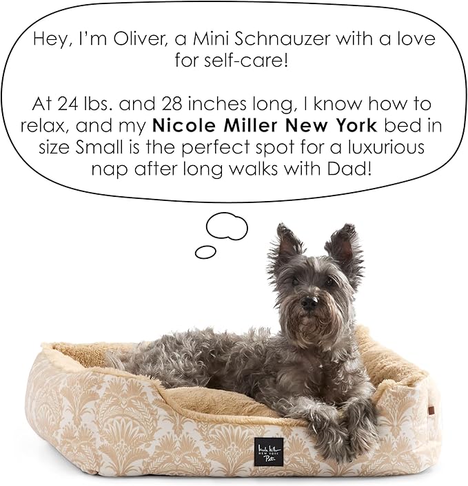 Nicole Miller NEW YORK PET Mod Damask Plushy Bolster Pet Bed, Cozy & Calming, Non-Slip Bottom, Machine Washable Cover, Grey, Small 24"x19"x7"