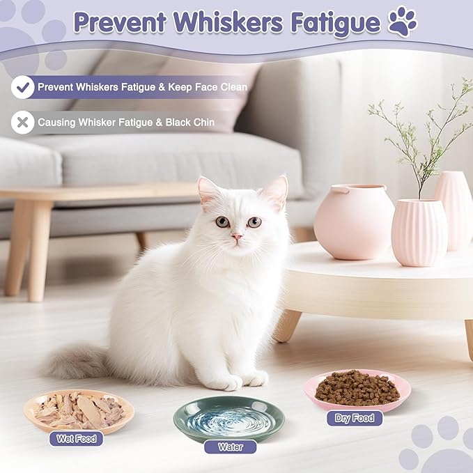 6 Pack Cat Food Bowl, Ceramic Cat Bowls, Anti Whisker Fatigue Cats Bowl Set,5.5 Inches Shallow Wide Kitten Plates for Food and Water (CaiSe-B)
