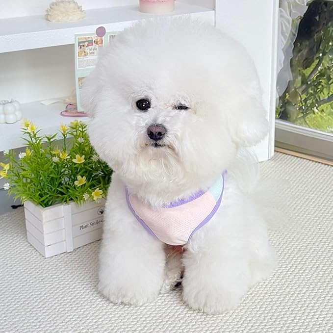 Ice Silk Fluorescent Tank top with Traction Ring, Suitable for Small/Medium Dogs, pet Dog Sun Protection Breathable Outdoor Walking Tank Top