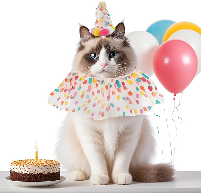 Cat Costume, Cat Birthday Bandana Scarf and Party Hat, Dog Birthday Decorations Set, Pet Outfit for Birthday Party Christmas, Medium